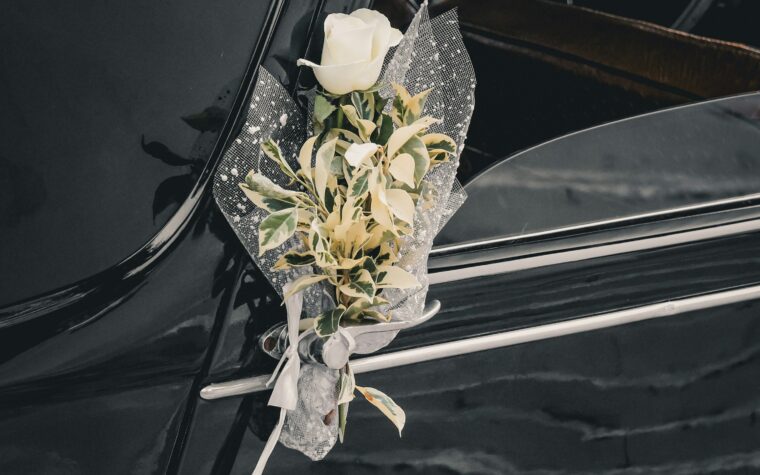 Special Occasion Car